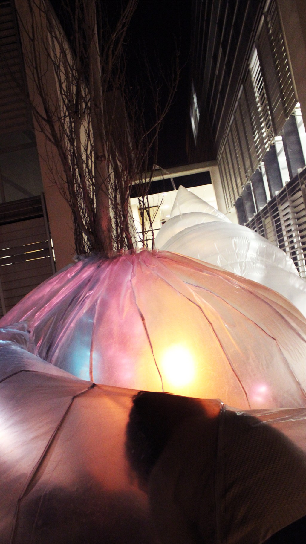 PNEUMATIC SERENDIPITY (UA)